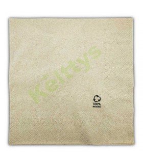 SERVILLETAS DE PAPEL 40X40 BIOECO 2 CAPAS (2.400 UNIDADES)