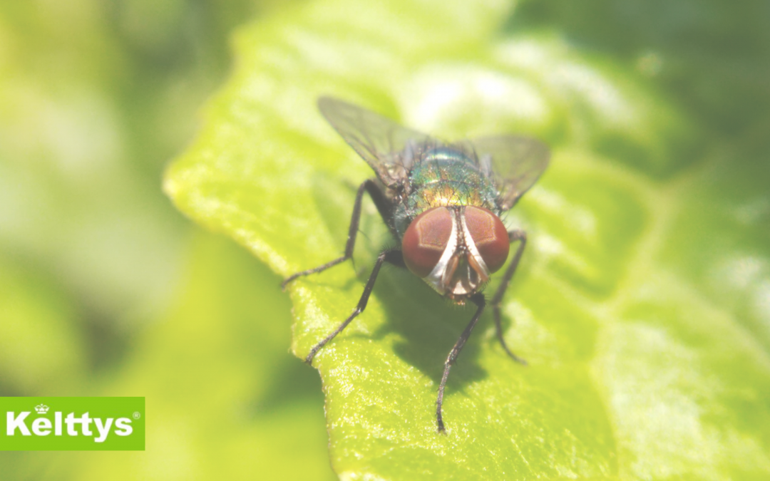 Insecticidas industriales: todo lo que necesitas saber
